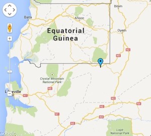 The village of Doumandzou, at the blue pin, between Libreville and Mitzic.